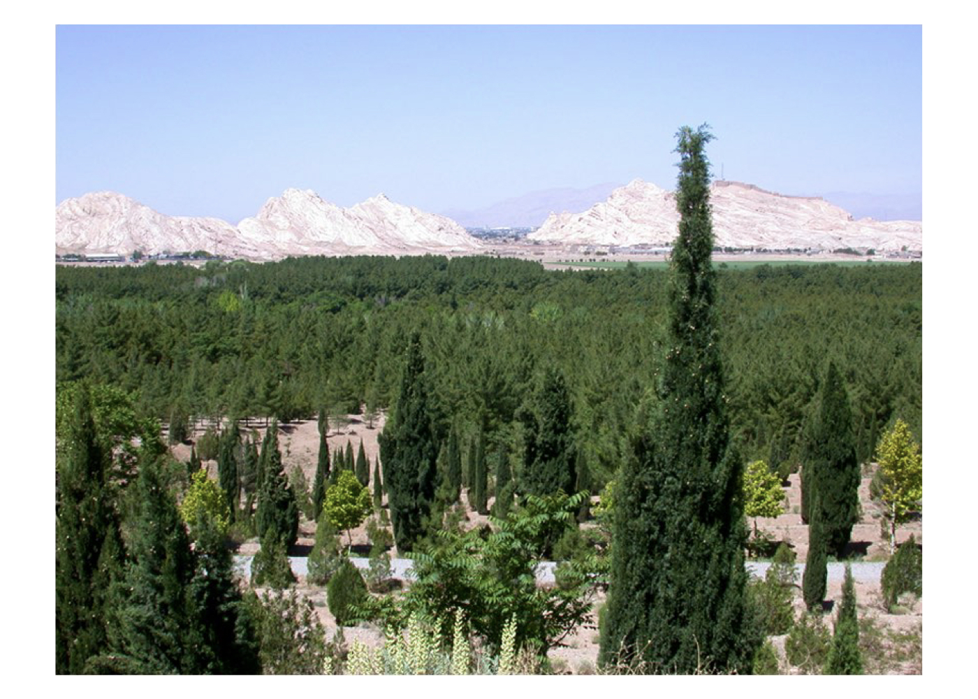 طرح راهبردی ساماندهی قلعه دختر و قلعه اردشیر در کرمان – ۱۳۸۳ + Strategic restoration plan for Ghaleh Dokhtar and Ghaleh Ardeshir castles in Kerman – 2004